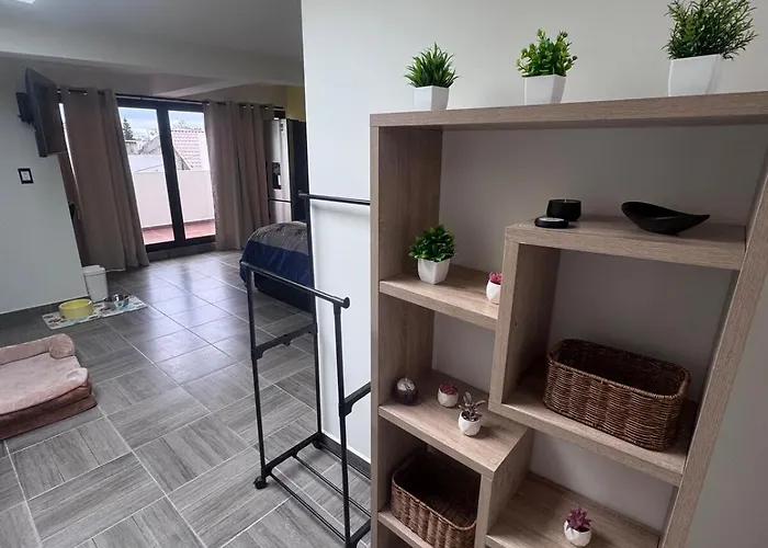 Apartment Loft Con Terraza Privada En Cdmx