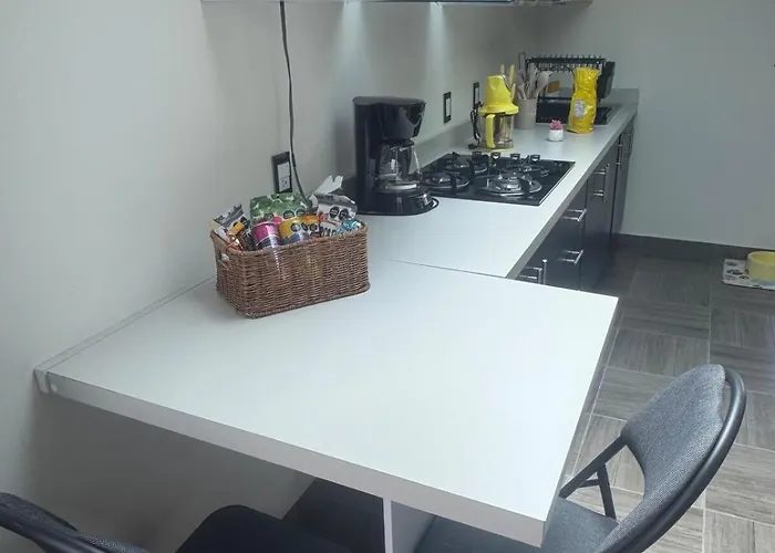 Loft Con Terraza Privada En Cdmx *