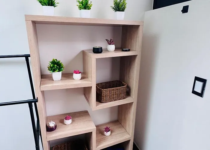 Loft Con Terraza Privada En Cdmx *
